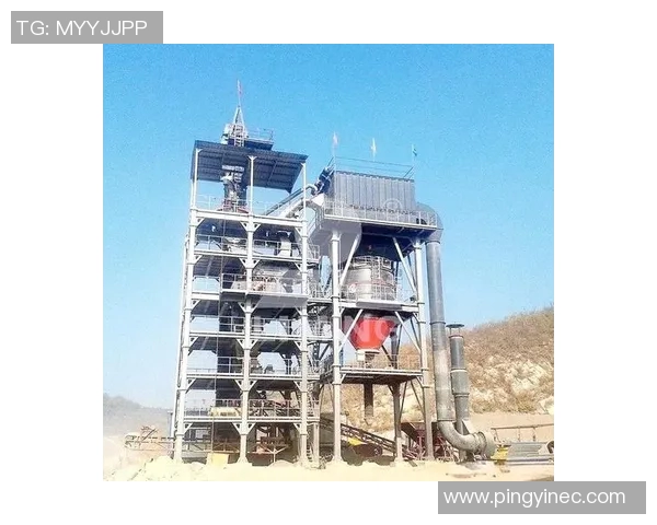 西安羽毛球队包夹战术解析及其在比赛中的应用与优势探讨