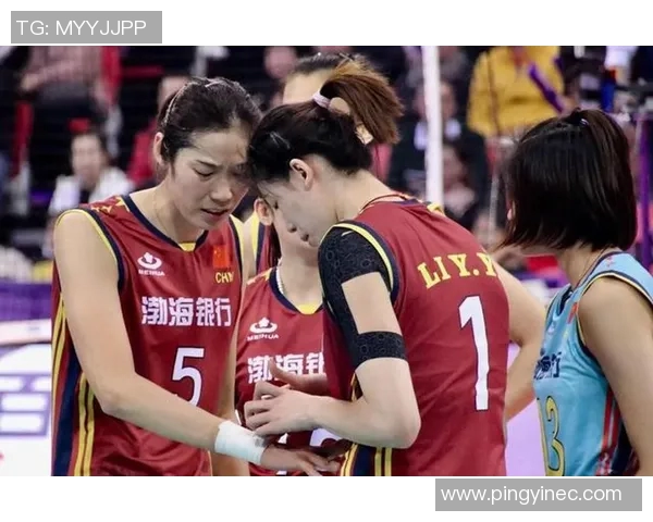 深圳排球队实力之争引发热议球迷观点各异分析深入