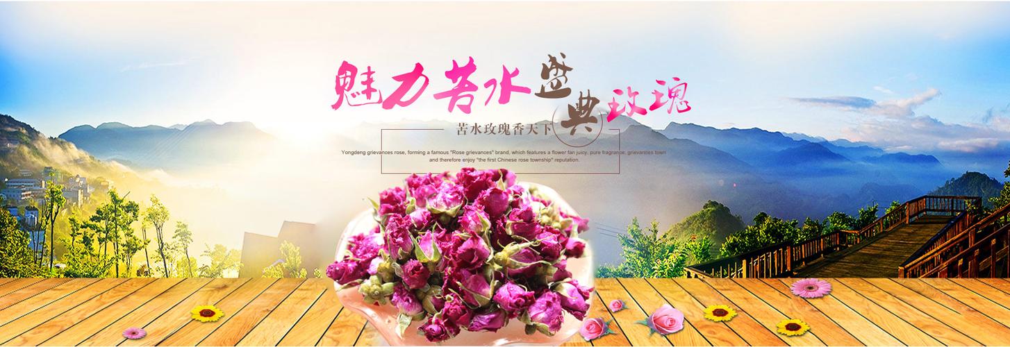 永登苦水盛典玫瑰制品 一朵高原玫瑰的芬芳传奇