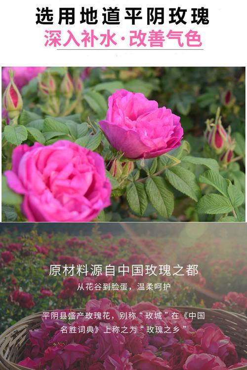 玖玫玫瑰旗舰店 以匠心缔造玫瑰制品的芬芳传奇